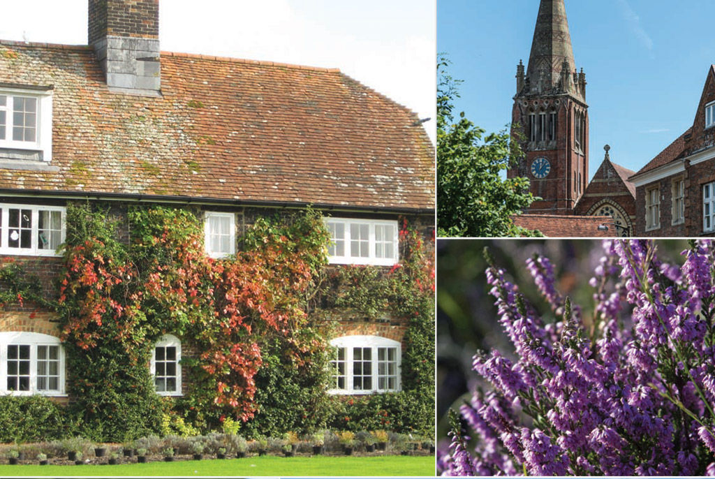 Bank, Lyndhurst, Hampshire Fells Gulliver