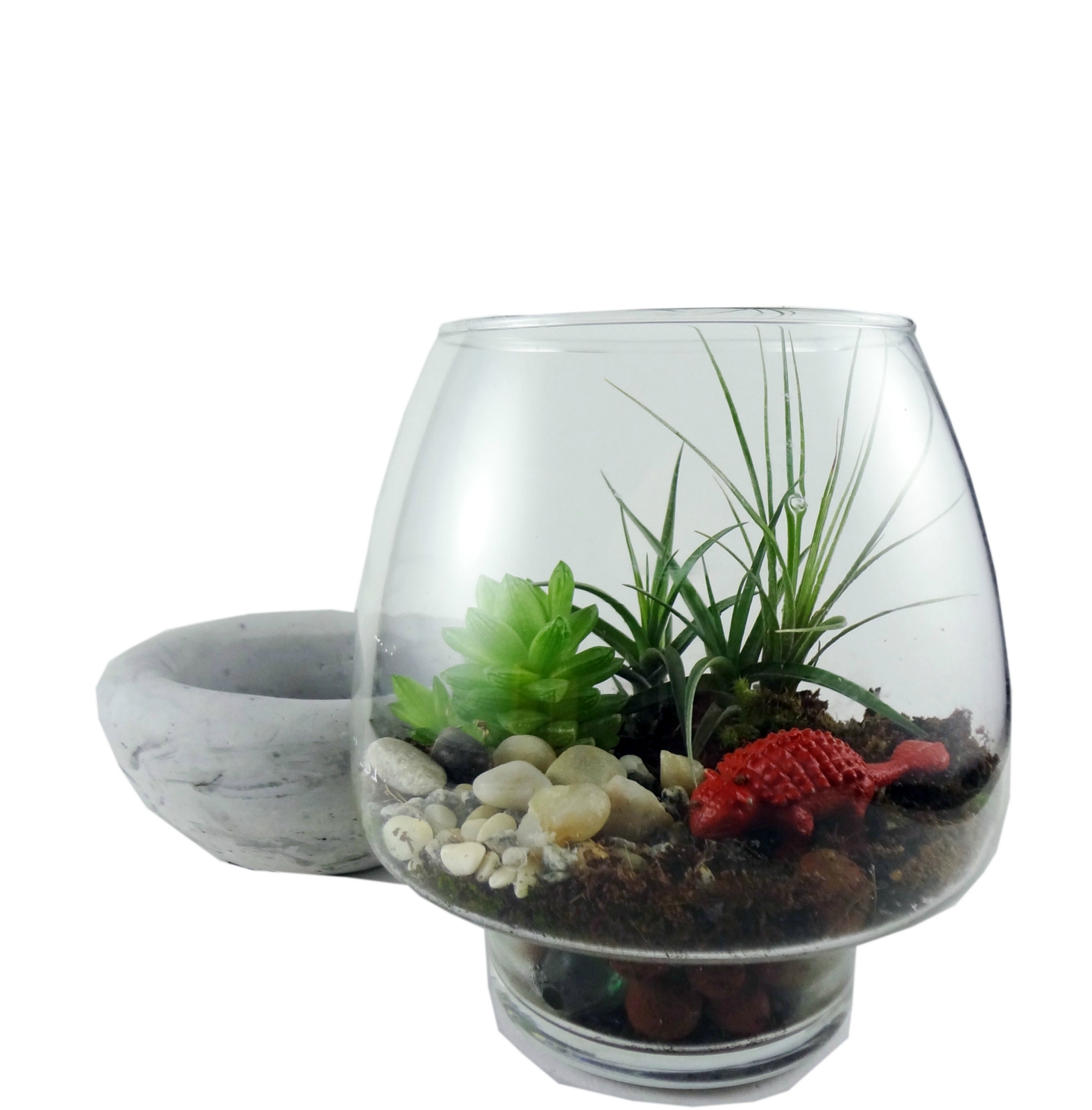 Ecobubbles Air Plant/Succulent Terrarium Kit Felt
