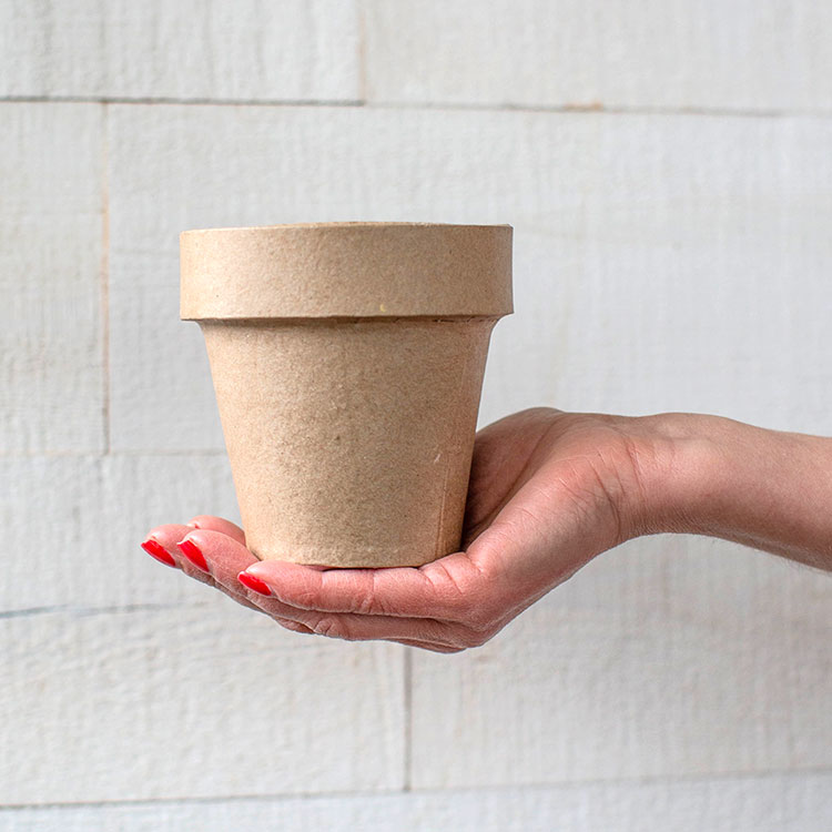 Paper Mache Pot with Lia Griffith Shop Lia Griffith