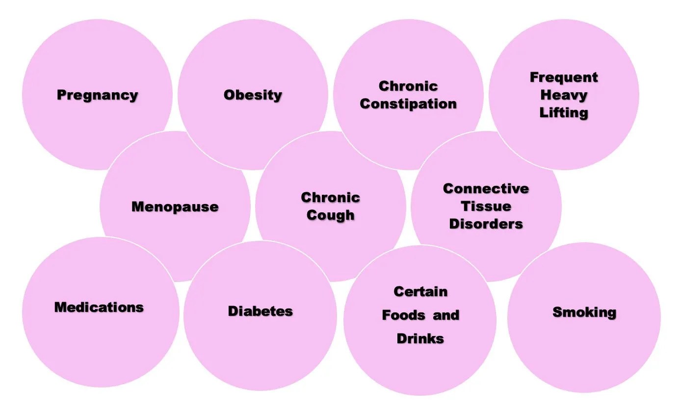 Stress, Urge and Mixed Urinary Incontinence Explained Female Physio Co.