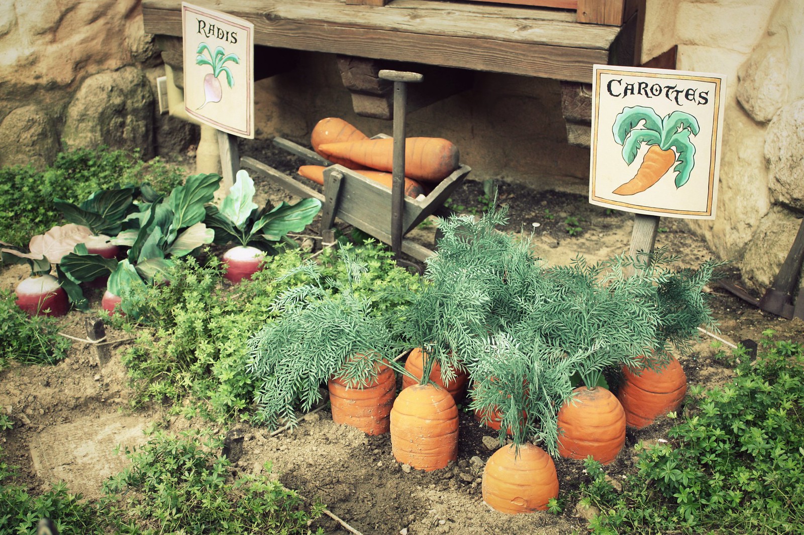 Guide pour démarrer son potager