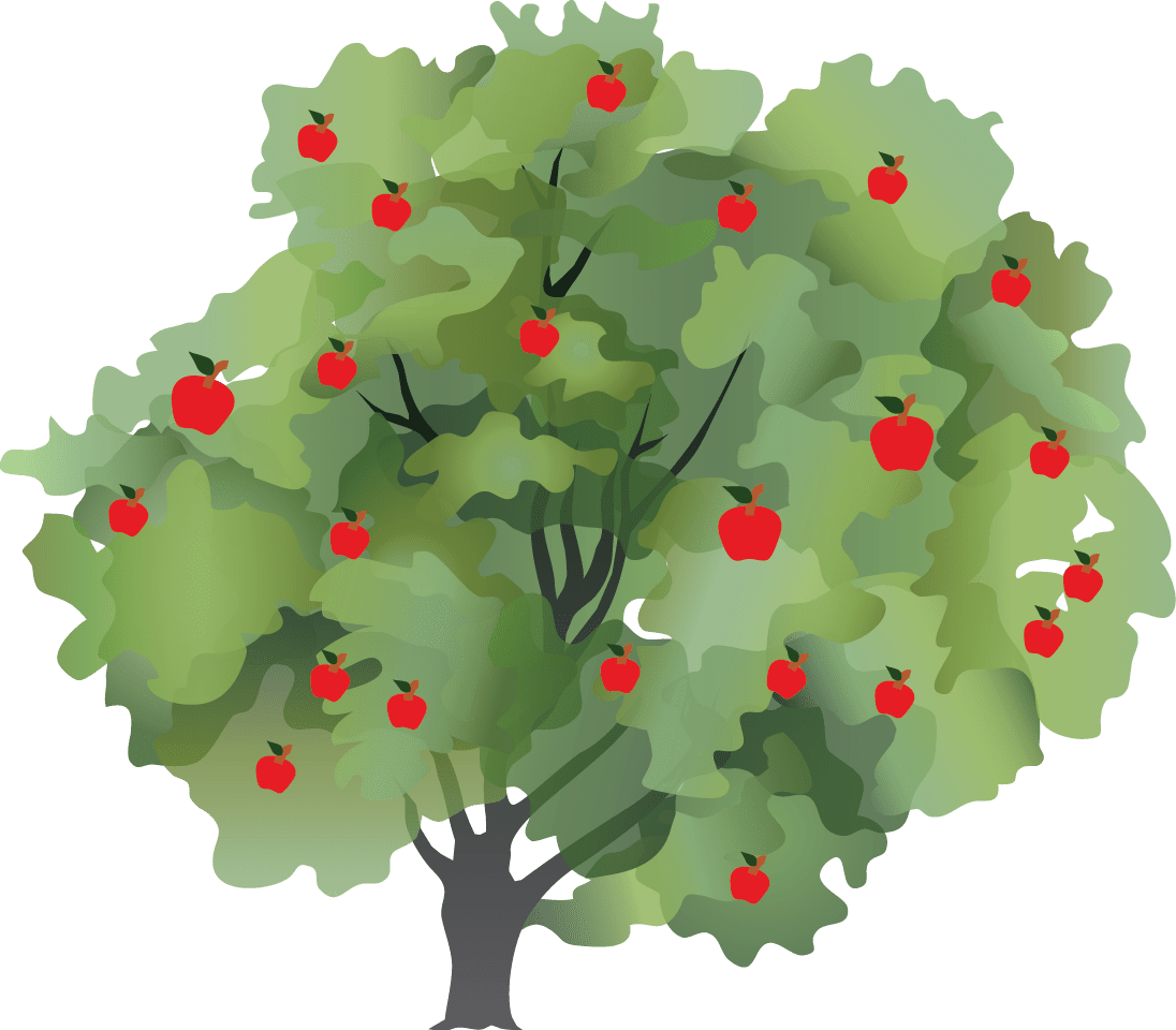 Androcentrism and Language Feminist Branches