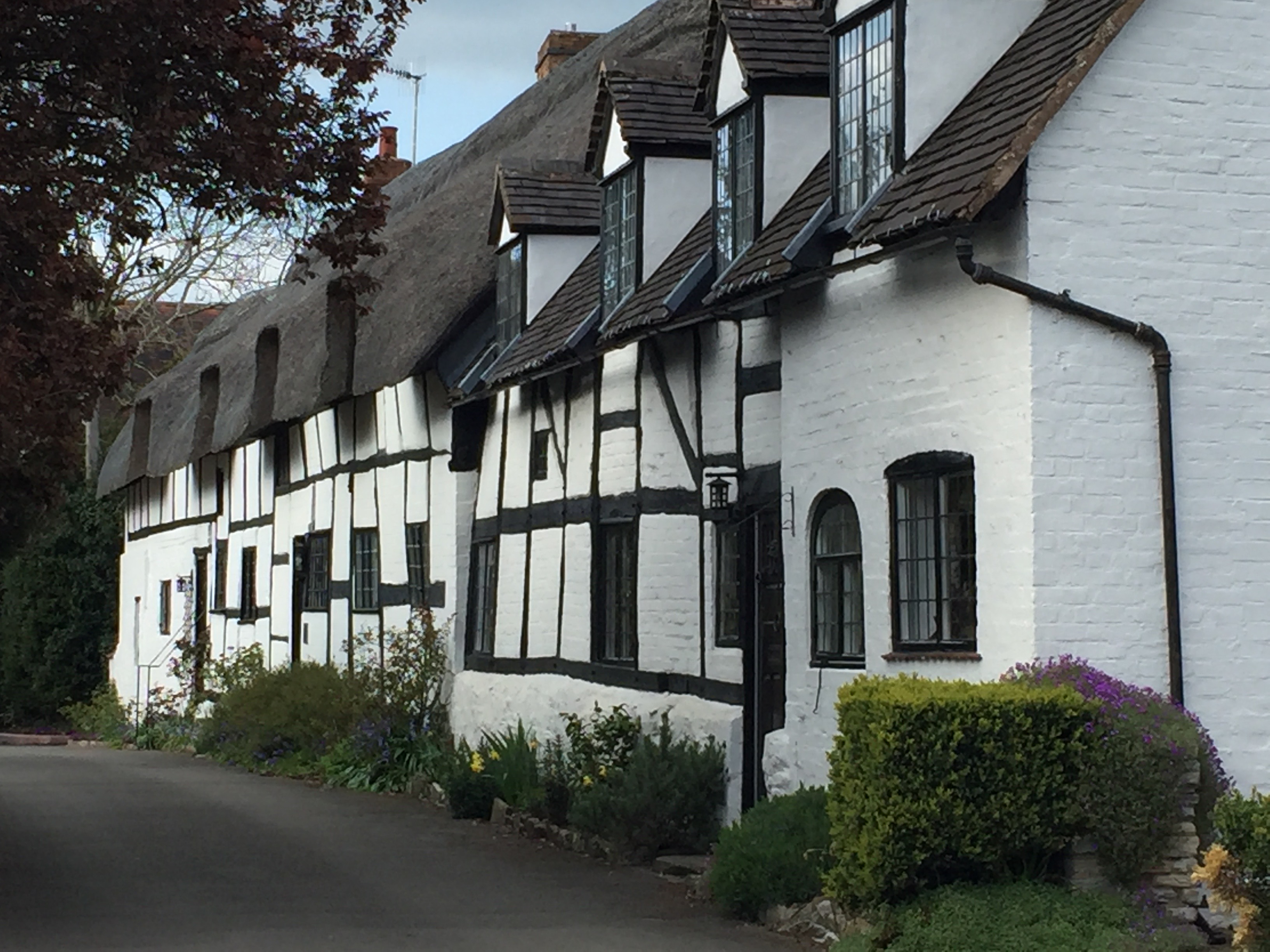 Houses and Their Noises MindReadings