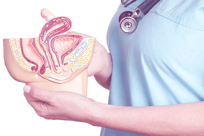 Which Way Is Your Uterus Leaning | Femmepharma