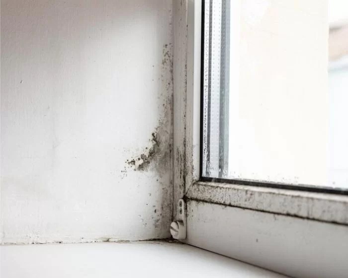Foggy windows? 12 ways to get rid of window condensation Fenbro
