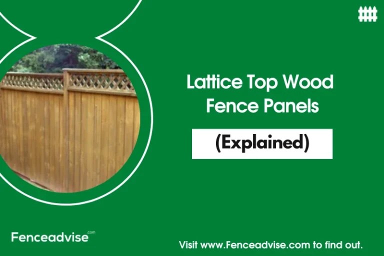 How To Protect Wood Fence From WeedEater? (Explained)