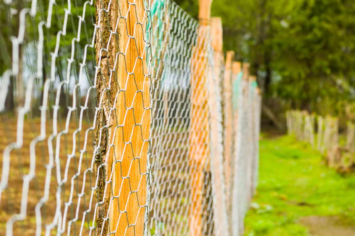 How Much Does It Cost To Chain Link Fence Half An Acre? Fence Fixation