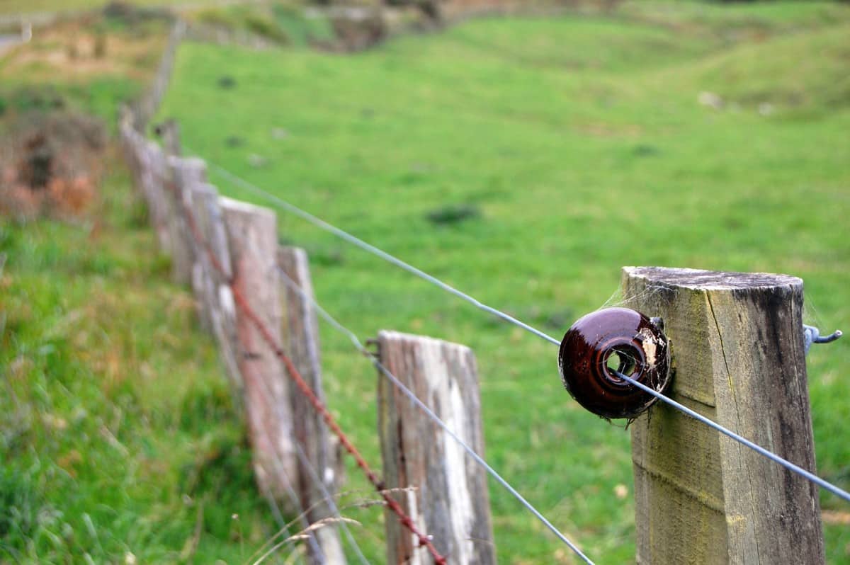 5 Great Alternatives to Barbed Wire Fencing Fence Frenzy