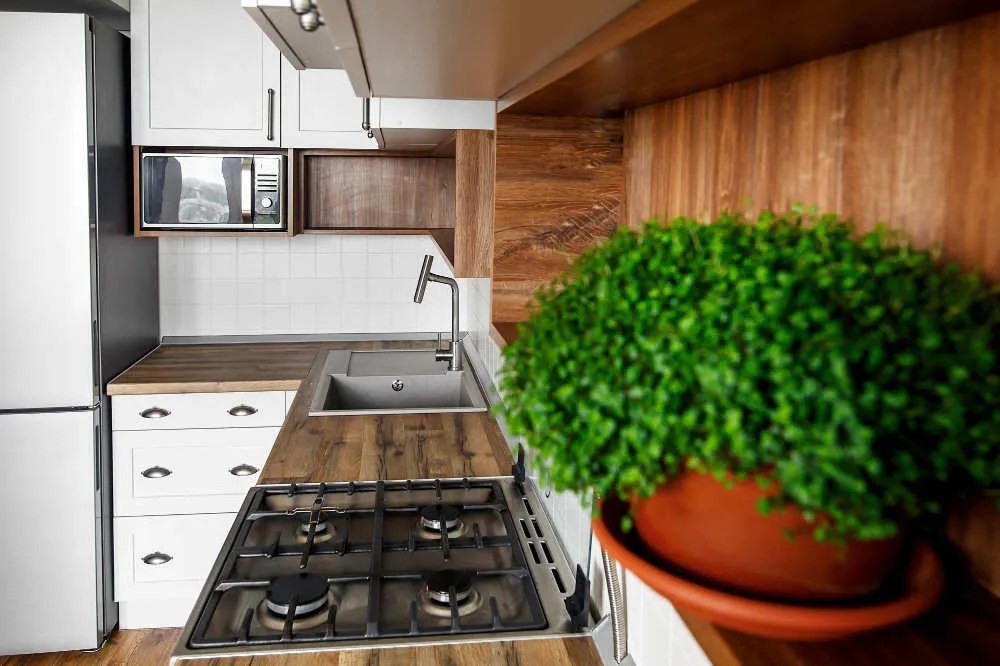 4 Amazing Kitchen Plants For Good Feng Shui (Don't Miss 3)