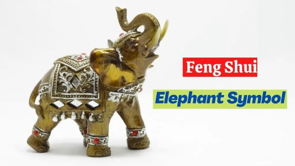 Feng Shui Elephant Symbol Meaning (2024) + Placement Tips