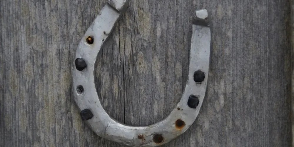 Lucky Horseshoe Good Luck [Placement, Directions, Uses]