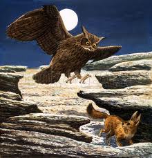 Predators - Fennec Fox