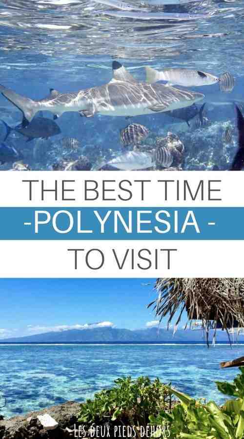 Quand aller à Tahiti ?