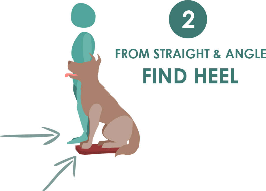 Level 1 Overview TEAM Titles