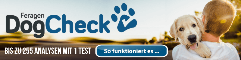 Impfreaktion beim Hund richtig erkennen und richtig behandeln