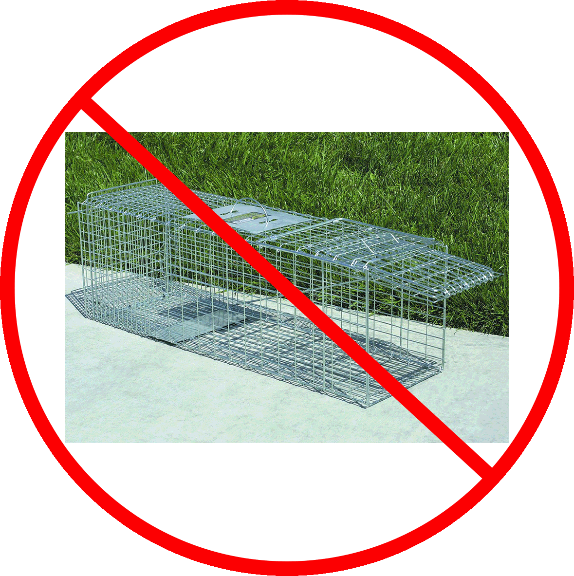 Animal Traps By Harbor Freight