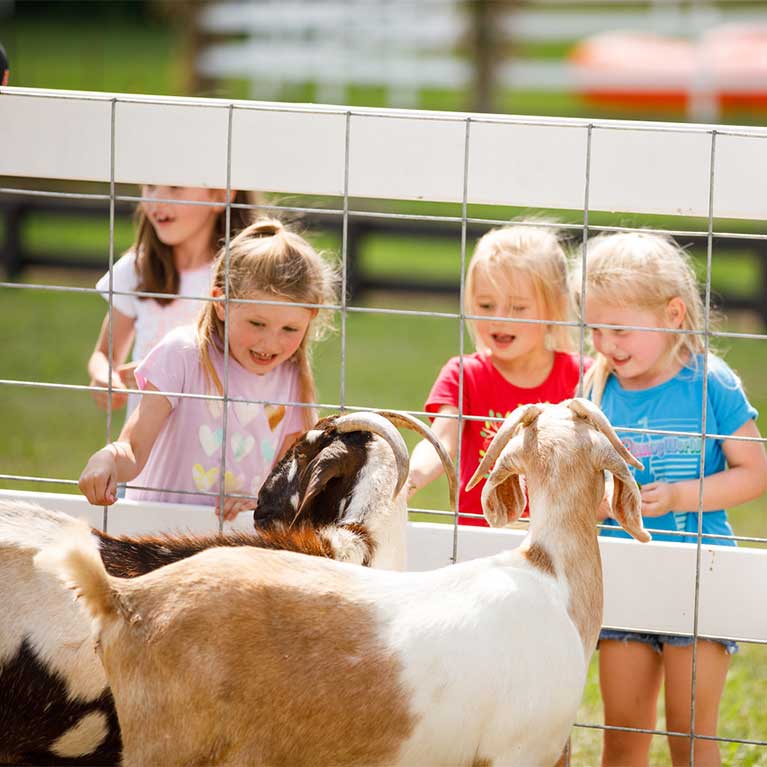 Galesville, WI Ferguson Orchards Ferguson Orchards