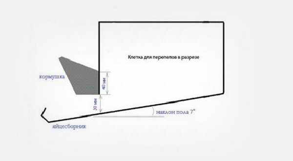 Клетка для перепелов своими руками чертежи и размеры на 30 штук