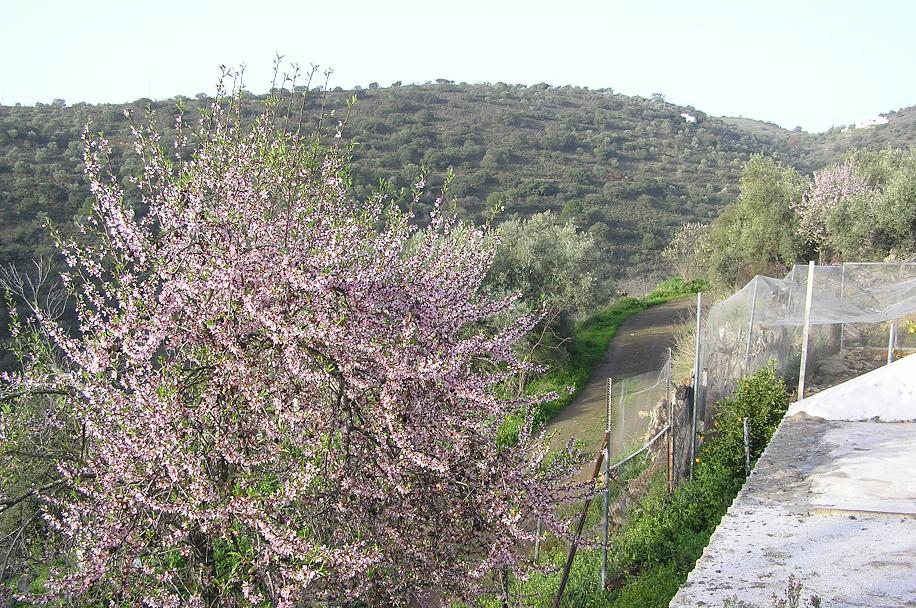 Rural Property for sale, Malaga