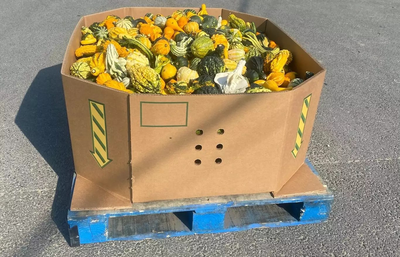 16" Ornamental Ferme Benoit Vernier