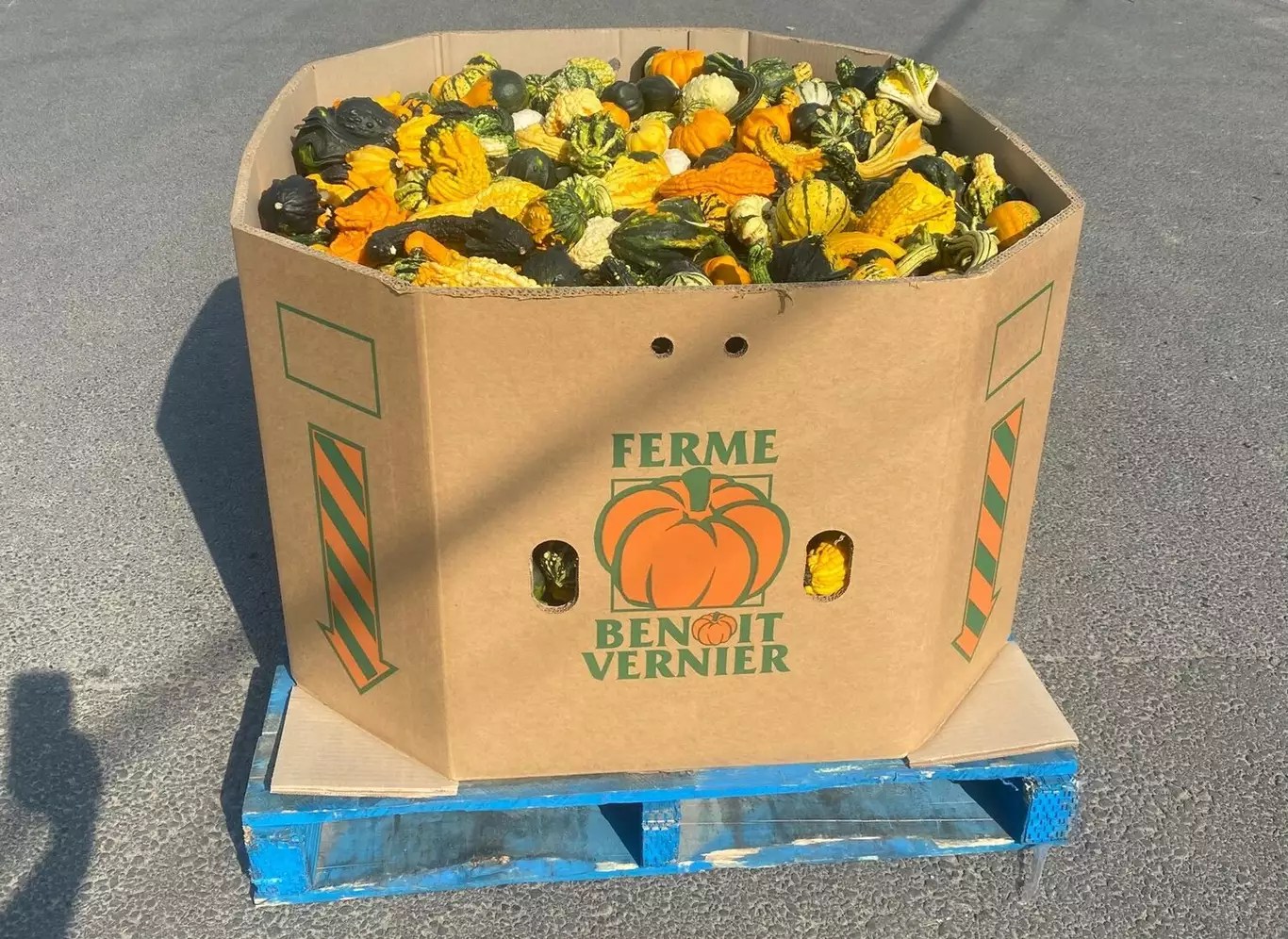 24" Ornamental Ferme Benoit Vernier