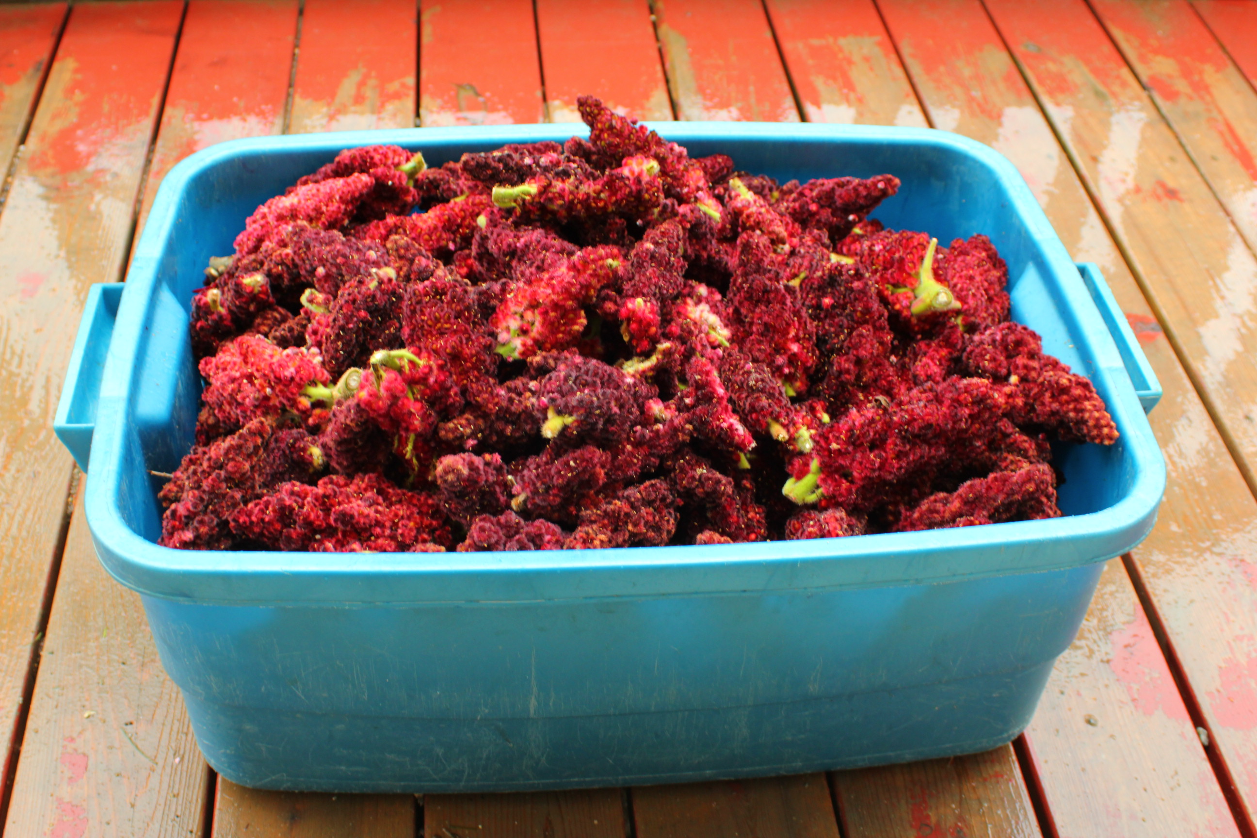 Sumac Juice Ferme et Forêt