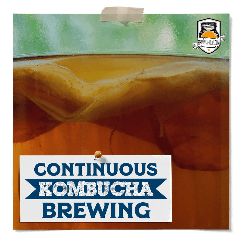 Continuous Kombucha Brewing A Complete StepbyStep Guide