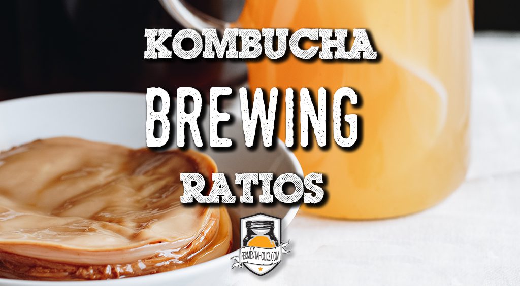 Kombucha Brewing Ratio A Reliable Ingredient Scale Guide