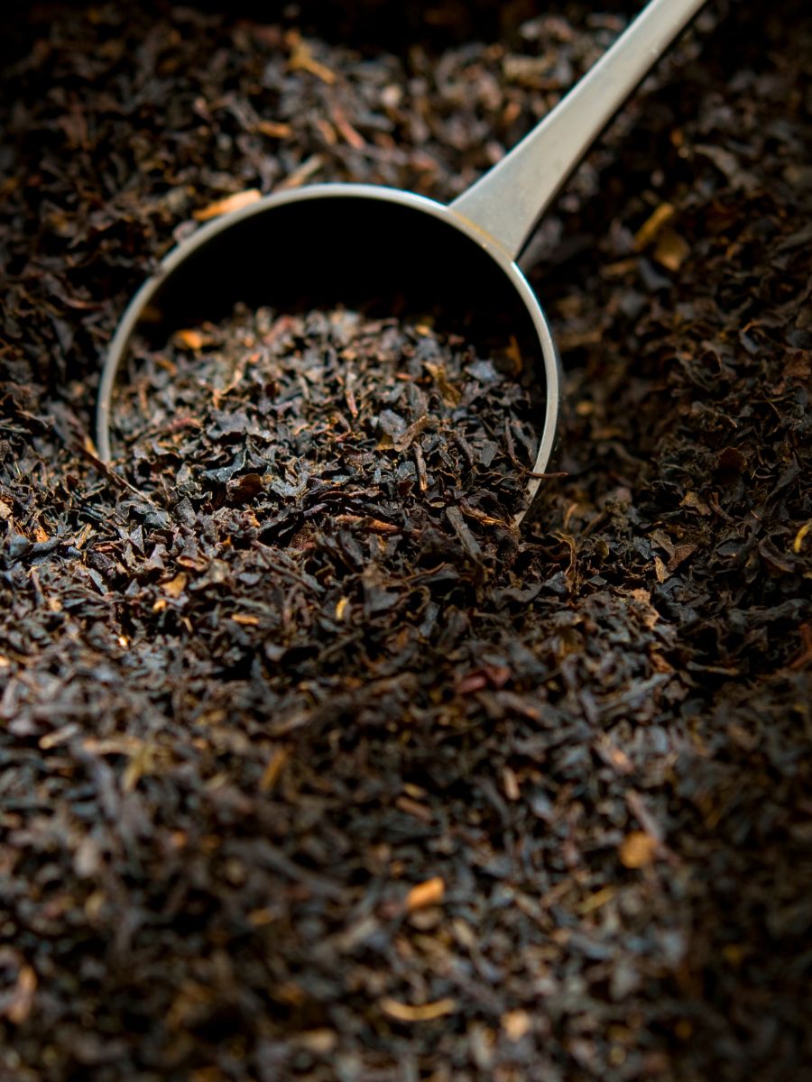 Choosing the Best Tea for Kombucha Brewing