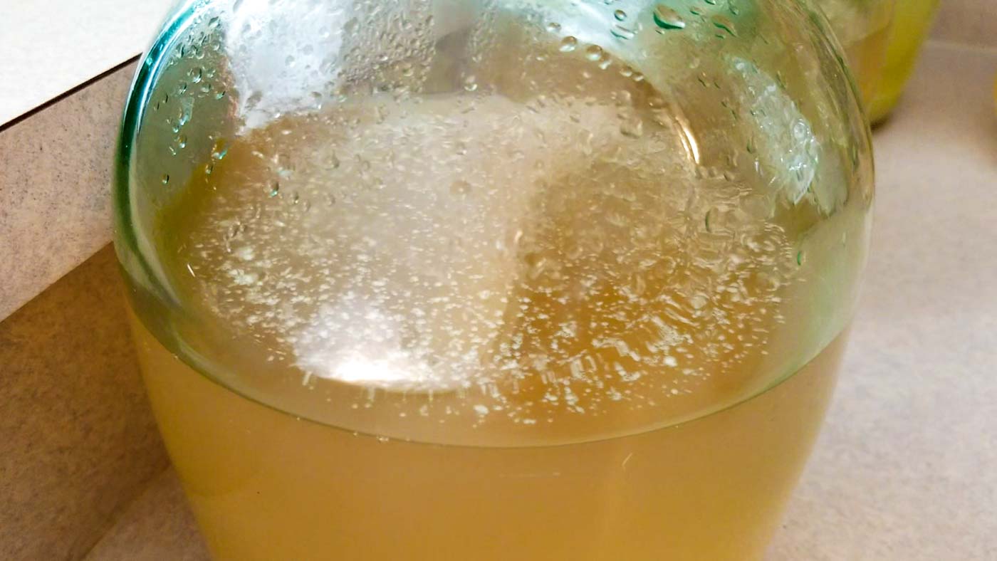 How to Make Homemade Ginger Beer (Ale) Soda with Real Ginger The Fermentation Adventure