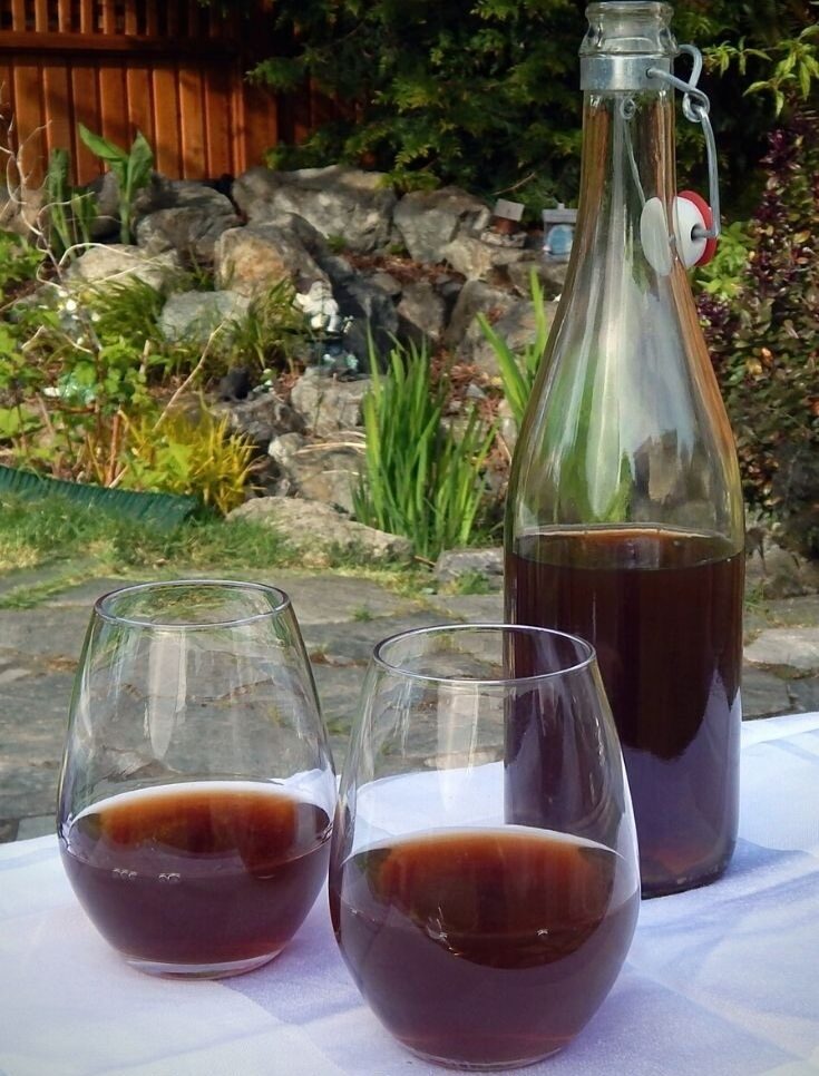 How To Make Homemade Wine StepByStep FERMENTATIONS