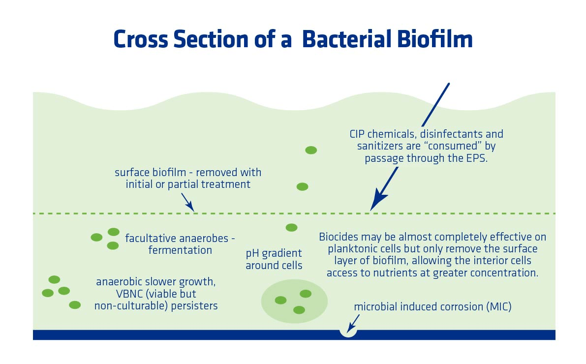 Infection Management Cleaning Phibro