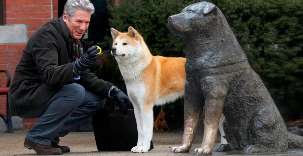 Hace 100 años nació Hachiko «el perro más fiel del mundo» 😪 Fernanda Familiar