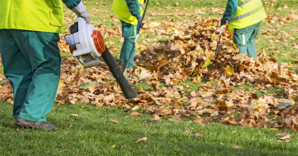 Spring And Fall Yard Clean Up Landscaping Services Fernandez And Sons
