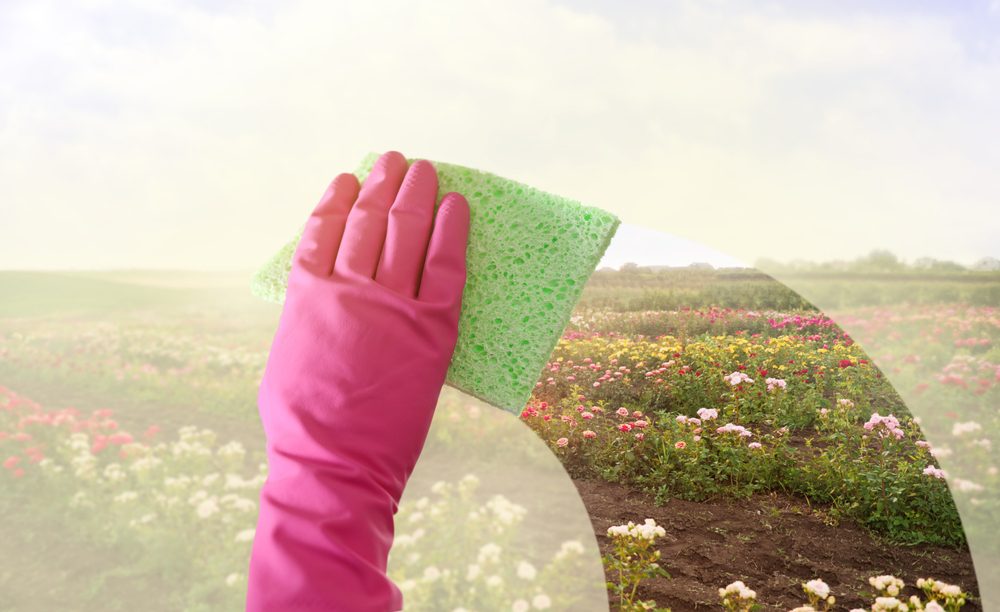 Parsippany NJ Spring Yard Maintenance & Landscaping