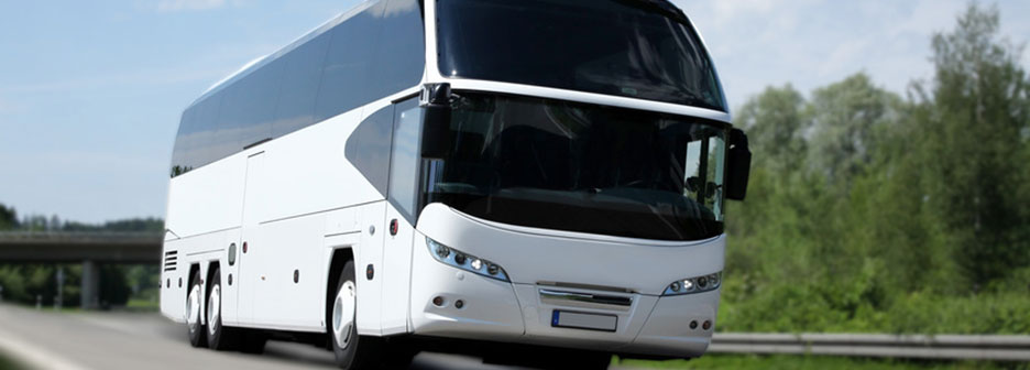 Fernbus billiger top Angebote finden und online buchen!