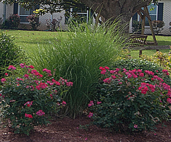 Fern Terrace Owensboro, Ky. Personal Care Homes with locations in