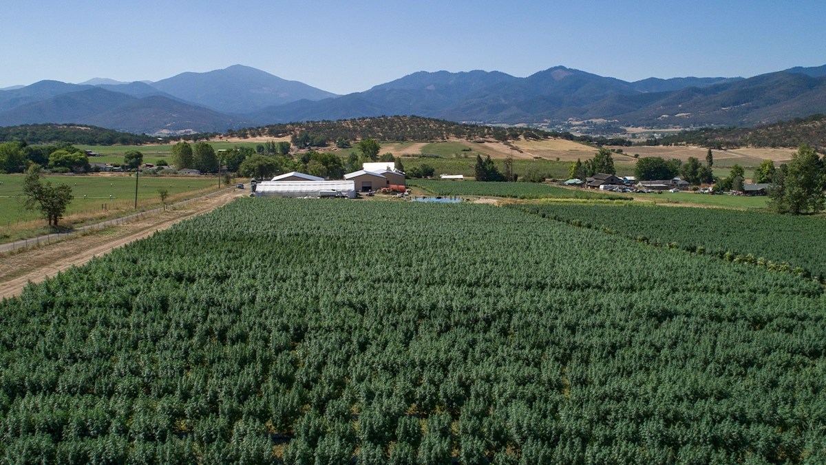 Subscribe to the Fern Valley Farms Voice Fern Valley Farms