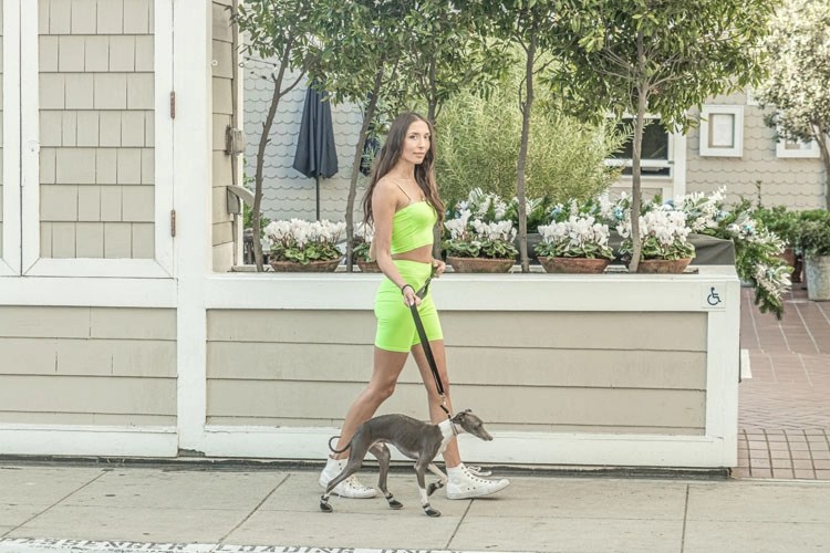 How to Get Your Dog into Modelling? Ferrovax