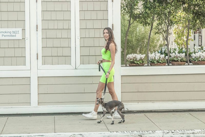 Dog Modeling Agency in California