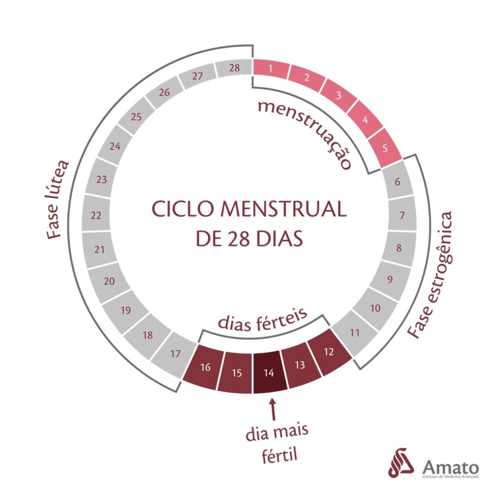 Aprenda como calcular o ciclo menstrual