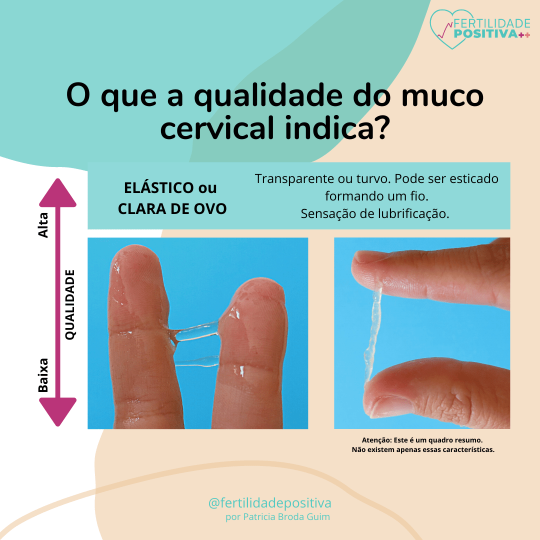 Entendendo o Muco Cervical Fertilidade Positiva