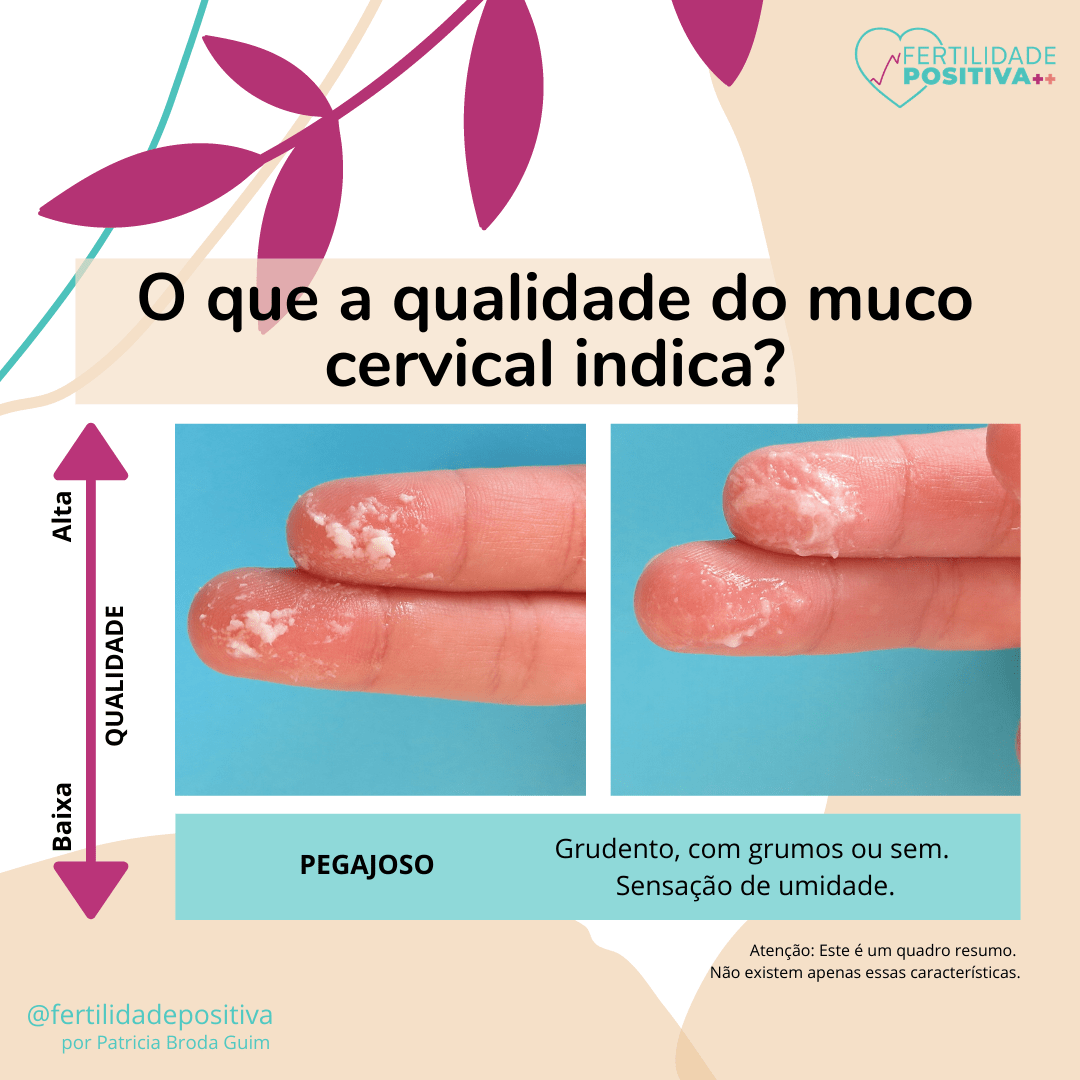 Entendendo o Muco Cervical Fertilidade Positiva