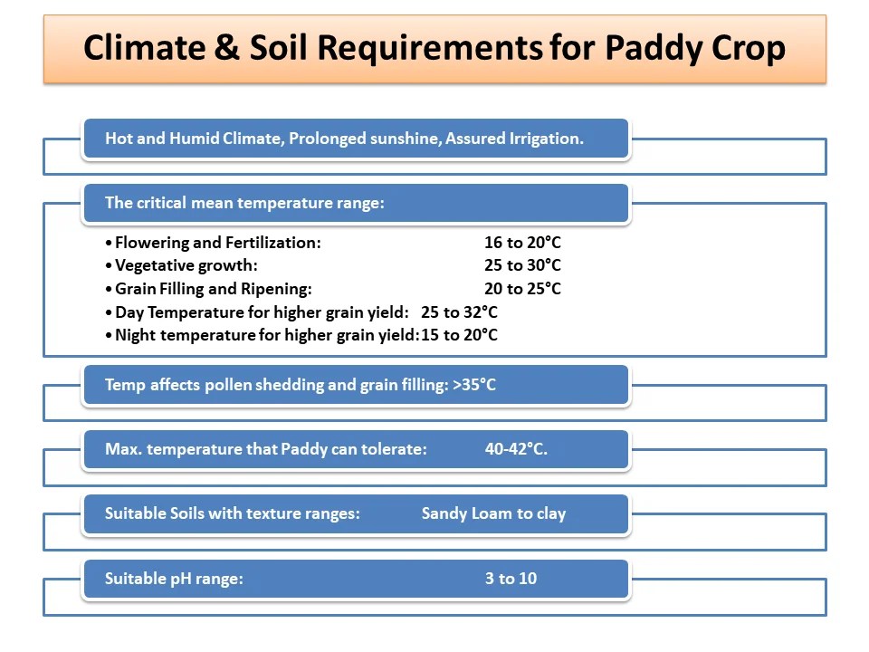 Climate & Soil Requirements for Paddy Crop