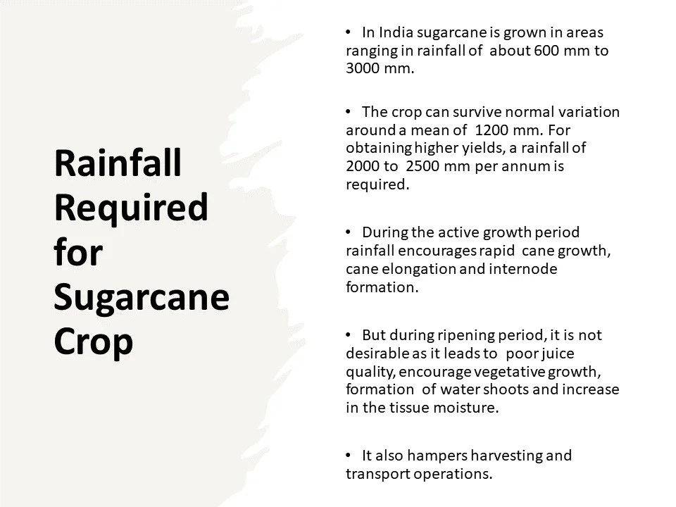 Rainfall Required for Sugarcane Crop