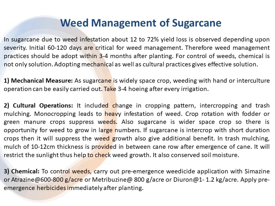 Weed Management of Sugarcane Crop