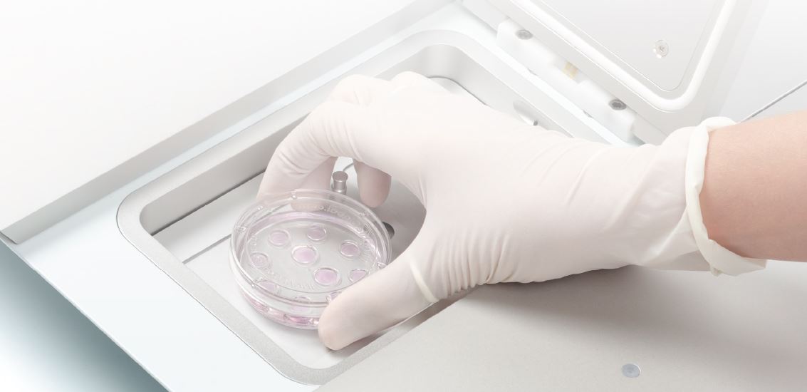 ART Scientific Newsletter IVF Culture Media Is It Time To Go Back To