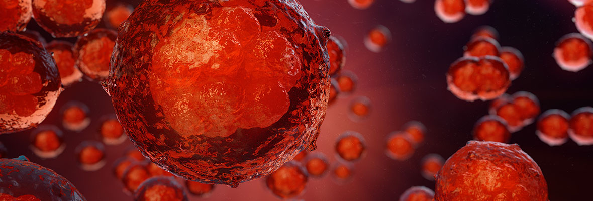 REPRODUCTIVE IMMUNOLOGY