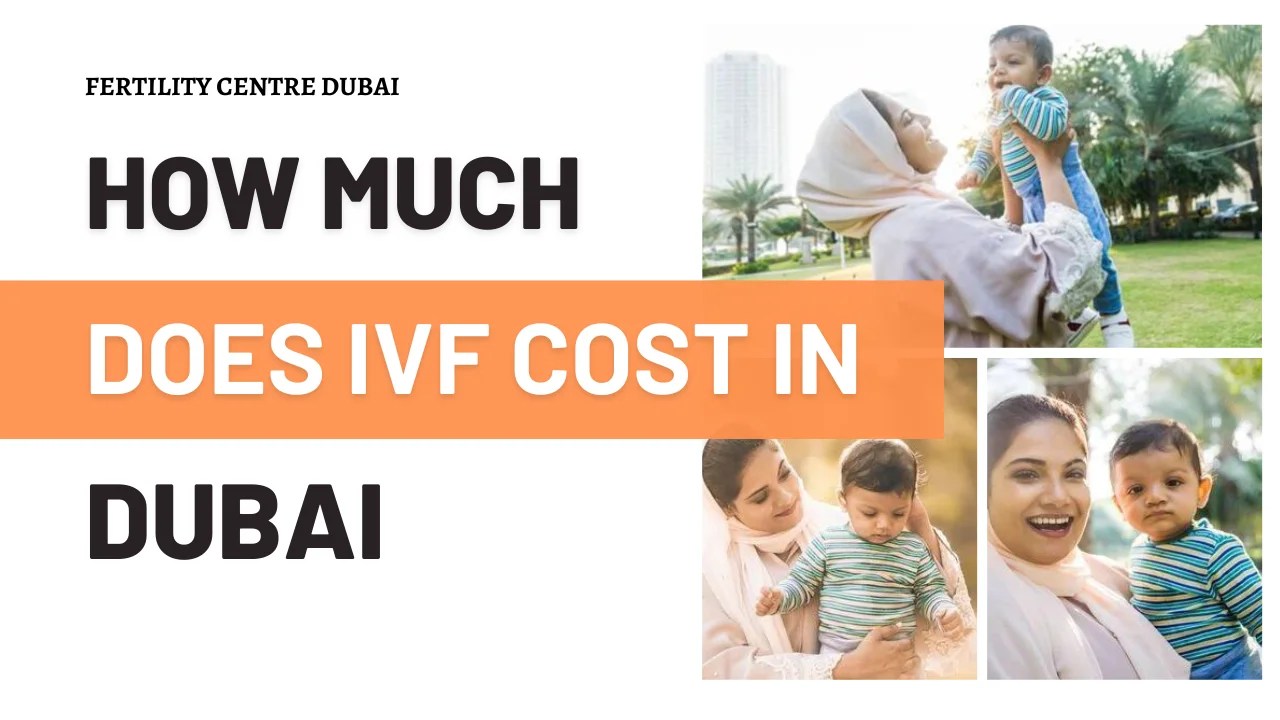 IVF Cost in Dubai 2024 Affordable Treatment Options for Starting a Family
