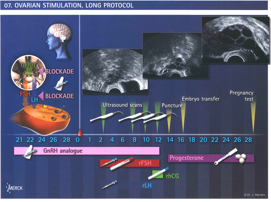 Hong Kong Fertility Technology&Prenatal Diagnosis Centre